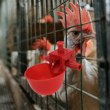 5 τεμ. ποτιστήρι κοτόπουλου για κοτόπουλα κόκκινο ορτύκι Μπολ ποτίστρου κοτόπουλου Αυτόματη τροφοδοσία πουλερικών Φλιτζάνια πόσιμου νερού