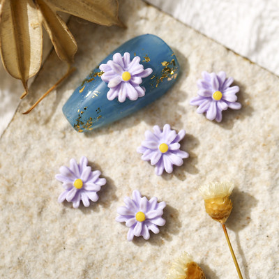 50PCS 3D akrilni cvijet Nail Art Charms Daisy Chrysanthemum Design Dodaci za dekoraciju za manikuru Pribor za nokte za profesionalce