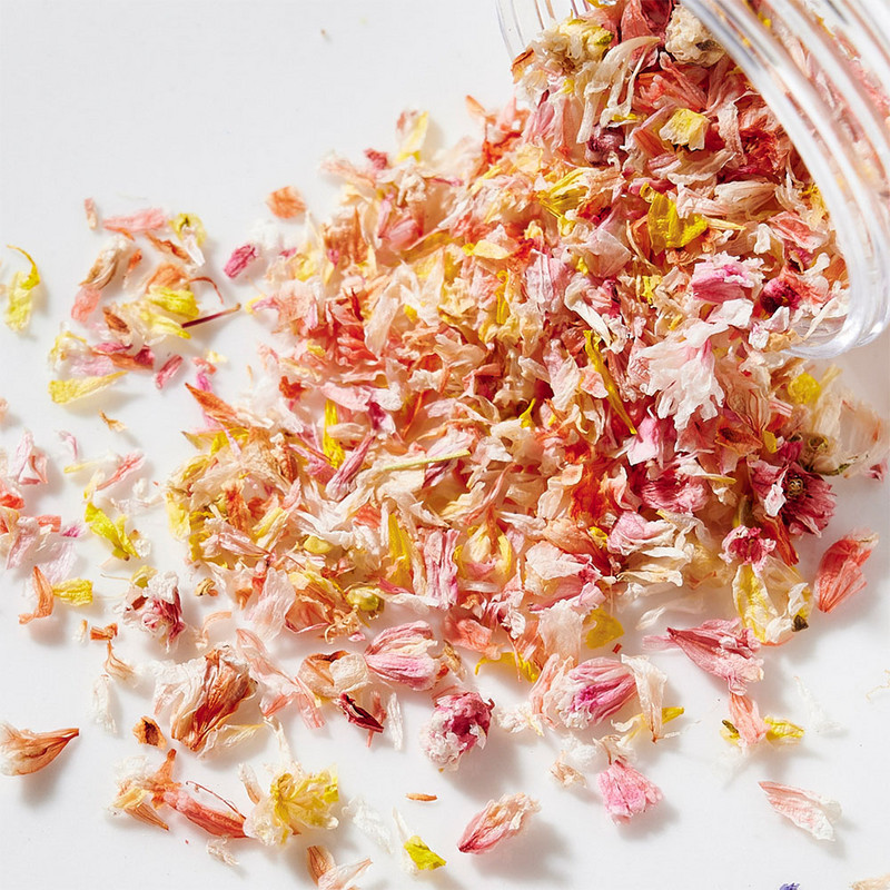 Nail Art DIY Flori uscate Umpluturi matrite din rasina UV Expoxy Floare pentru flori presate Charms 3D Decoratiuni pentru unghii Accesoriu pentru manichiura