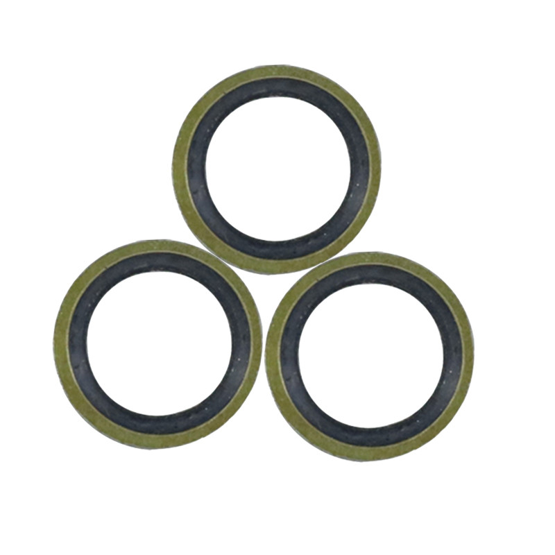 M10 Banjo Bolt alyvos išleidimo varžto sandarinimo poveržlės tarpinės 1 komplektas / 40 vnt motociklo hidraulinės sankabos stabdžių siurblio stabdžių žarnos apkaba