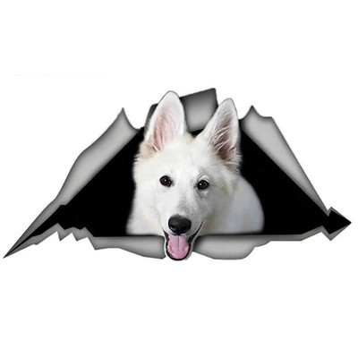 13cm X 8,8cm 1 vnt Baltas Šveicarijos aviganio automobilio lipdukas suplyšęs metalinis naminių šunų lipdukas JDM lango automobilio buferio dekoras motociklo grafika