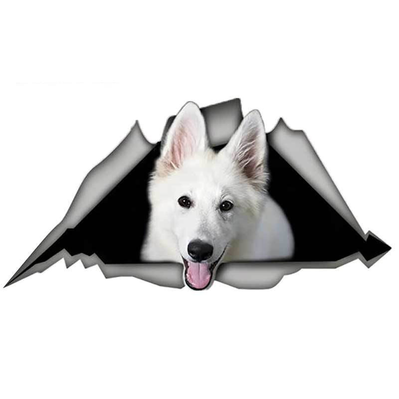 13cm X 8,8cm 1 vnt Baltas Šveicarijos aviganio automobilio lipdukas suplyšęs metalinis naminių šunų lipdukas JDM lango automobilio buferio dekoras motociklo grafika