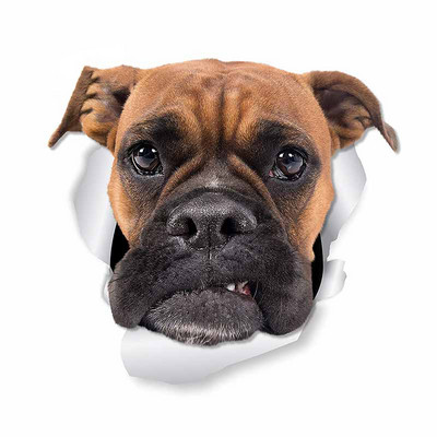 1 vnt Boxer Dog Motociklo Automobilių lipdukai Neperšlampami lipdukai Nebraižyti lipdukai Buferio apdaila 13cm X 12,1cm