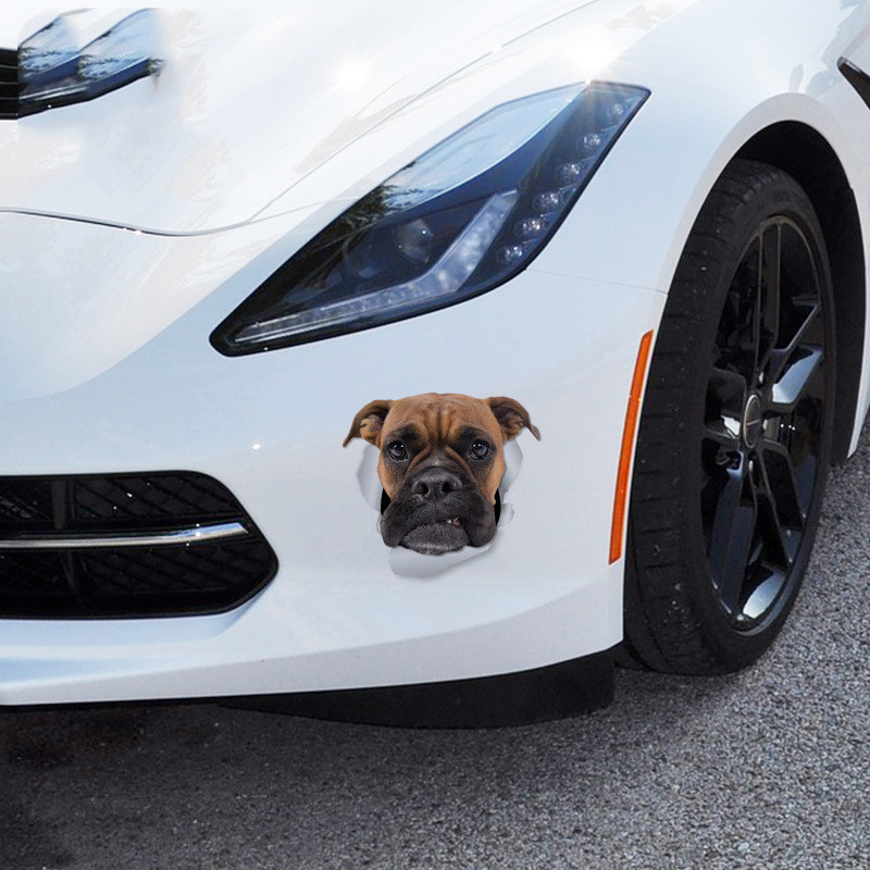 1 vnt Boxer Dog Motociklo Automobilių lipdukai Neperšlampami lipdukai Nebraižyti lipdukai Buferio apdaila 13cm X 12,1cm