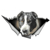 13 cm X 8 cm Įdomi 3D juodai balta Alabai automobilio lipdukų priedai lipdukas automobilio lango vandeniui atsparus PVC automobilio stiliaus dekoravimas