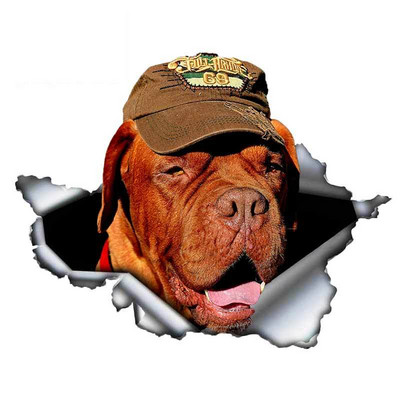 13 cm lemmikloomakoera kingitus Dogue De Bordeaux autokleebis 3D rebenenud metallist originaalkujundusega vinüülist auto pagasiruumi kaitseraua kohandatud kaubamärgikleebis