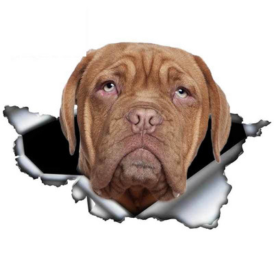 13 cm lemmikloomakoera kingitus Dogue De Bordeaux autokleebis 3D rebenenud metallist originaalkujundusega vinüülist auto pagasiruumi kaitseraua kohandatud kaubamärgikleebis