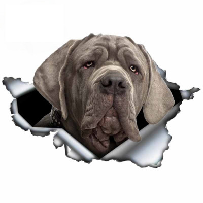 13 cm lemmikloomakoera kingitus Dogue De Bordeaux autokleebis 3D rebenenud metallist originaalkujundusega vinüülist auto pagasiruumi kaitseraua kohandatud kaubamärgikleebis