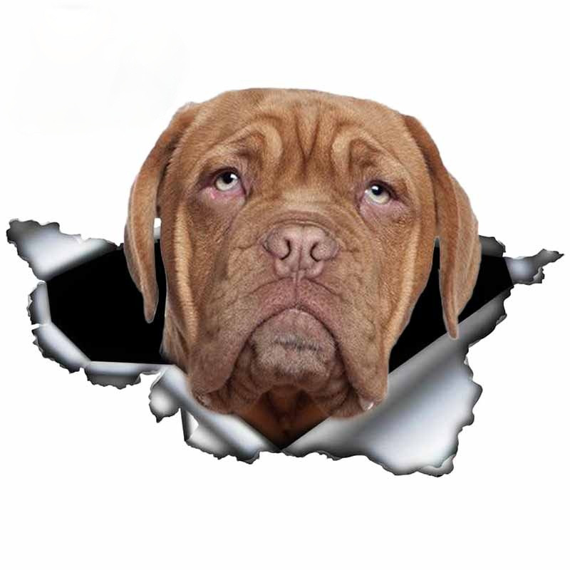 13 cm naminių šunų dovanų Dogue De Bordeaux automobilio lipdukas 3D suplyšęs metalinis originalaus dizaino vinilinis automobilio bagažinės buferis, pritaikytas prekės ženklo lipdukas