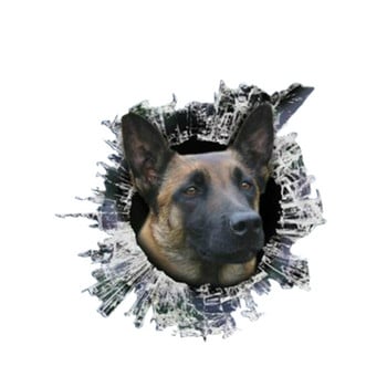 13cm*12,2cm 1 τεμ 3D Belgian Malinois Decal Glas Dogs Ανακλαστικά Αυτοκόλλητα Αυτοκινήτου Παράθυρο Αδιάβροχα Αυτοκόλλητα Styling