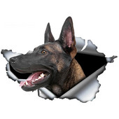 13*8,8cm 1 tk Belgia malinoisi autokleebis Rebenenud metallist kleebis Peegeldavad kleebised Veekindlad Belgia lambakoera lemmiklooma 3D kleebised