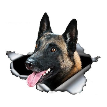 13*8,8 εκ. 1 τεμ. Αυτοκόλλητο αυτοκινήτου Belgian Malinois με σχισμένο μεταλλικό αυτοκόλλητο αντανακλαστικά αυτοκόλλητα αδιάβροχα 3D αυτοκόλλητα βελγικού ποιμενικού σκύλου