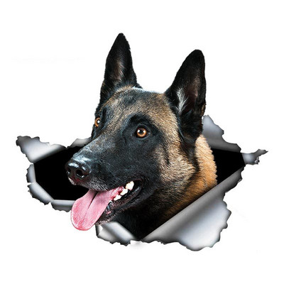13*8,8cm 1 tk Belgia malinoisi autokleebis Rebenenud metallist kleebis Peegeldavad kleebised Veekindlad Belgia lambakoera lemmiklooma 3D kleebised