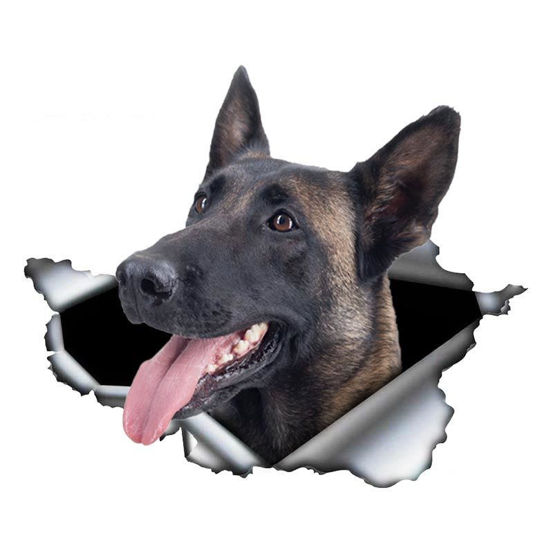 13*8,8 cm 1 buc. Autocolant pentru mașină Belgian Malinois Decalcorant de metal rupt Autocolante reflectorizante Impermeabil Ciobanesc belgian Animal de companie Decalcomanii 3D