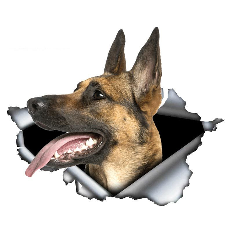 13*8,8 cm 1 buc. Autocolant pentru mașină Belgian Malinois Decalcorant de metal rupt Autocolante reflectorizante Impermeabil Ciobanesc belgian Animal de companie Decalcomanii 3D