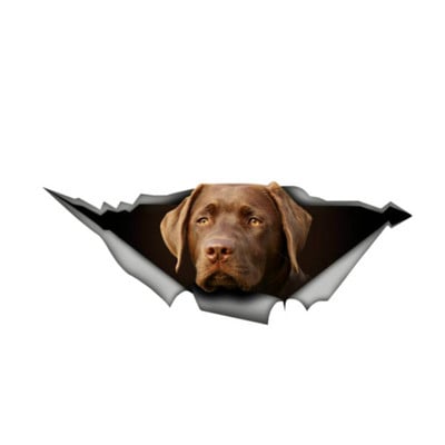 13cm*5cm Labrador Decal Čokoladni retriver Decal Naljepnica za auto 3D grafička vinilna naljepnica Prozor automobila Laptop Auto naljepnica 1 kom.