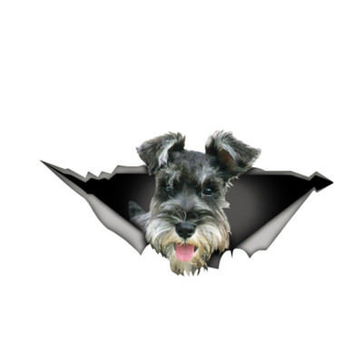 13cm X 6,6cm Αυτοκόλλητο αυτοκινήτου Schnauzer 3D Pet Graphic Vinyl Decal Παράθυρο αυτοκινήτου Προφυλακτήρας φορητού υπολογιστή Αυτοκόλλητα αυτοκινήτου με ζώα