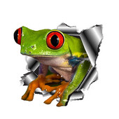 13cm X 12cm 1 tk Creative 3D Frog Autokleebiste Aksessuaarid Auto Styling Kate Kriimustused Veekindel PVC Dodge`i kleebiste jaoks