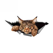 13*6CM 1 3D Juokingas Big Cat lipdukas Meino meškėnų automobilio lipdukas suplyšęs metalinis lipdukas, atspindintis lipdukas Automobilių modeliavimo vandeniui atsparūs priedai