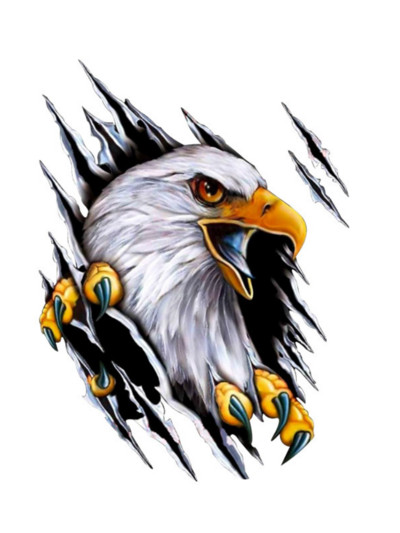 18cm*24cm 1 tk. Müüa Animal Eagle autostiiliga 3D multifilmi mootorratta kleebis Vinüül kerega loominguline autokleebis