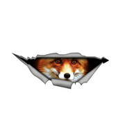13cm * 4cm Fox Rebenenud metallist autokleebis Veekindel isikupärastatud kleebis Sülearvuti Kohver Veoauto Mootorratta Autotarvikud PVC