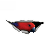 13cm*4cm Loomade autokleebised Punane Eclectus Papagoi Autokleebis 3D Lemmiklooma Graafiline Vinüülkleebis Autoaken Sülearvuti Põrkeraua 1 tk