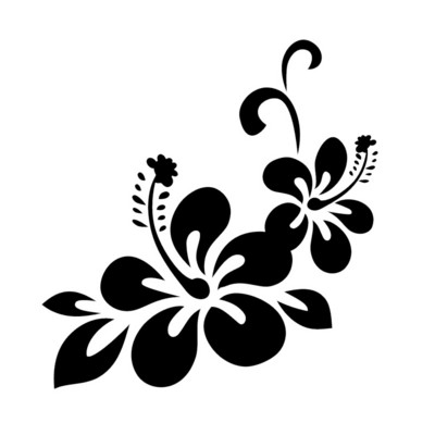 23,8 * 24,9 cm ilus Hawaii hibiski autokleebis, isikupärastatud mootorratta vinüülkleebised, must/hõbedane Buicki kleebiste jaoks