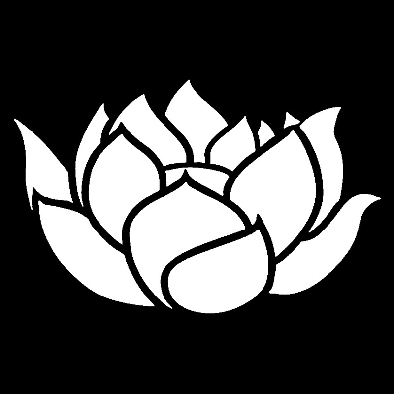 16,5 cm * 10,6 cm rajzfilm virág dekor matrica divatos vinil autómatrica fekete/ezüst Daewoo matrica