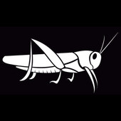 Gyvybiškas žiogo vinilo lipdukas, skėriai nuo vabzdžių lipdukas, tinkantis vaikams, automobilio langų durelių kuro bako dangtelio dekoras, šaunus grafika, 18 cm*9 cm