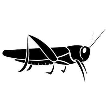 Ζωντανό αυτοκόλλητο Grasshopper Vinyl Decal Locust Insect που ταιριάζει σε παιδιά τοίχου Παράθυρο αυτοκινήτου Πόρτα Καπάκι ρεζερβουάρ καυσίμου Διακόσμηση Cool Graphic 18cm*9cm