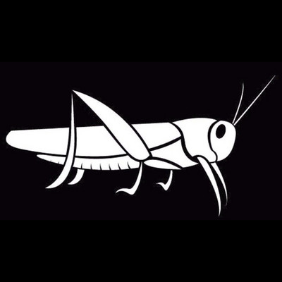 Gyvybiškas žiogo vinilo lipdukas, skėriai nuo vabzdžių lipdukas, tinkantis vaikams, automobilio langų durelių kuro bako dangtelio dekoras, šaunus grafika, 18 cm*9 cm