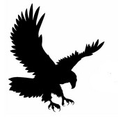 „Soaring Eagle Justice Domineering Birds“ automobilių lipdukas, skirtas nameliams prie namelių sieninių motociklų automobilių stilių atspindintis vinilo lipdukas