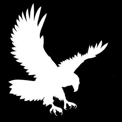 „Soaring Eagle Justice Domineering Birds“ automobilių lipdukas, skirtas nameliams prie namelių sieninių motociklų automobilių stilių atspindintis vinilo lipdukas