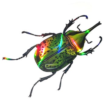 5*13cm Beetle Chafer Scarab Hologram Αυτοκόλλητο Αυτοκόλλητου Αυτοκινήτου Laser Πολύχρωμο αυτοκόλλητο 3D PVC Αυτοκόλλητο Διακόσμησης αυτοκινήτου