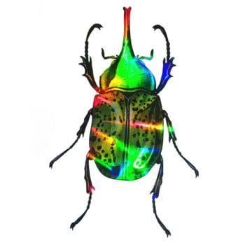 5*13cm Beetle Chafer Scarab Hologram Αυτοκόλλητο Αυτοκόλλητου Αυτοκινήτου Laser Πολύχρωμο αυτοκόλλητο 3D PVC Αυτοκόλλητο Διακόσμησης αυτοκινήτου