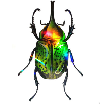 5*13cm Beetle Chafer Scarab Hologramă autocolant autocolant laser colorat 3D PVC autocolant autocolant decorare mașină