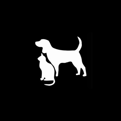 12,8 CM * 12,4 CM Pisică Câine Drăguț Pisicuță Cățeluș Pet Art Autocolante auto Autocolante din vinil Negru Argintiu pentru autocolante Volkswagen