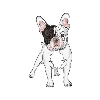 1 vnt. prancūzų buldogų automobilių lipdukai, neperšlampami ploni lipdukai Anime Personality Graphics banglentė, atspari įbrėžimams 13 cm