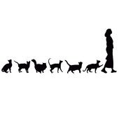 23cm*9cm Asmenybės automobilio lipdukas Katės sekančios moterį Juokingi KK Vinilo lipdukai Motociklo automobilio puošybos lipdukas