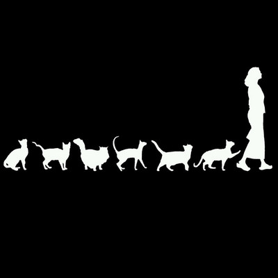 23cm*9cm Asmenybės automobilio lipdukas Katės sekančios moterį Juokingi KK Vinilo lipdukai Motociklo automobilio puošybos lipdukas