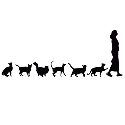 23cm*9cm Asmenybės automobilio lipdukas Katės sekančios moterį Juokingi KK Vinilo lipdukai Motociklo automobilio puošybos lipdukas