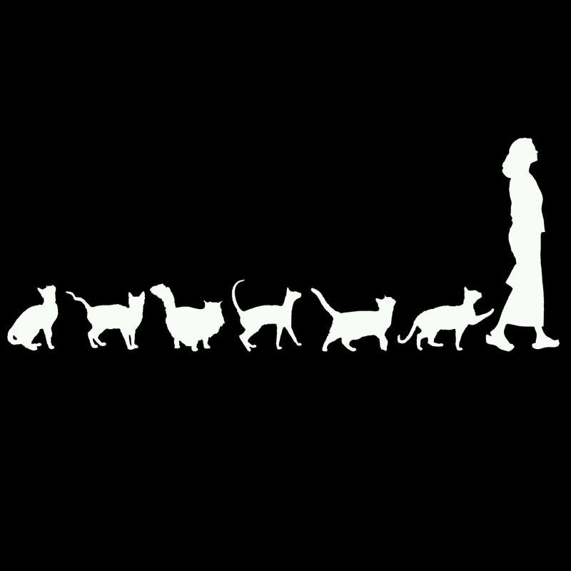 23cm*9cm Asmenybės automobilio lipdukas Katės sekančios moterį Juokingi KK Vinilo lipdukai Motociklo automobilio puošybos lipdukas