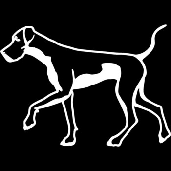 Интересен Dane Great Walking Pet Dog Аксесоари за стикер за кола KK Vinyl PVC 15cm*10cm Мотоциклет Laptop Decal