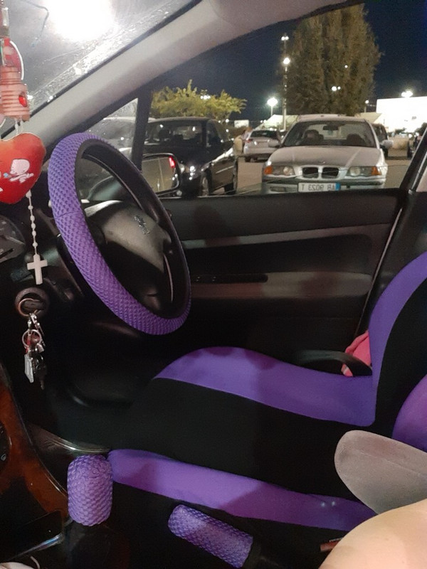 New Fashion 5 värvi autoistme kate ja rooli kate Universaalne autoistme interjöör universaalne kate Butterfly Style