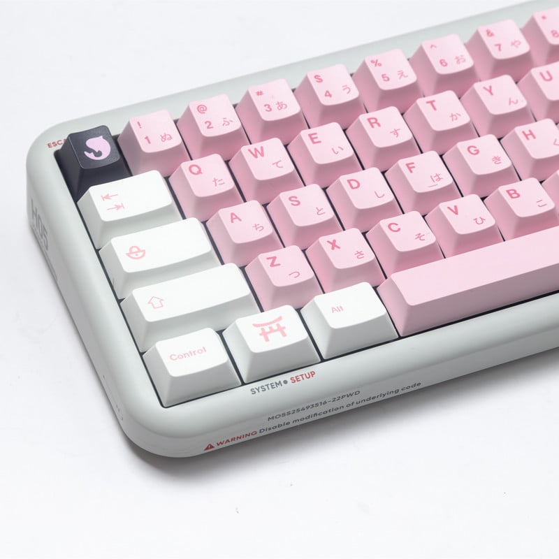 145 klahvi Kirsiõielised klahvistikud Jaapani klahvikatted PBT-värvi sublimatsioonikirsi profiil MX Switchi mehaanilise klaviatuuri klahvistikule
