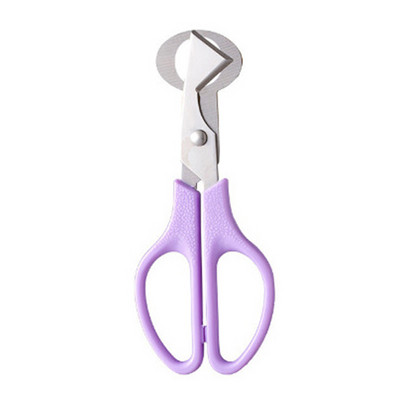 Putpelių kiaušinių žirklės paukščių kiaušinių žirklės nerūdijančio plieno kiaušinių pjaustytuvai kiaušinių lukštų pjaustytuvai kiaušinių atidarytuvai virtuvės rankiniai įrankiai žirklės