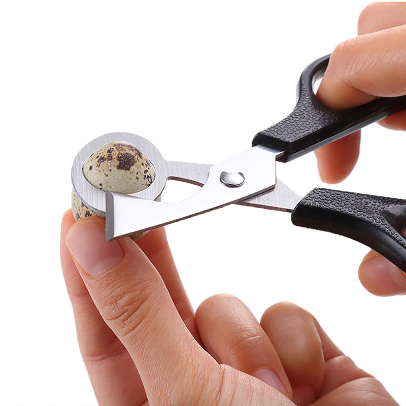 Putpelių kiaušinių žirklės paukščių kiaušinių žirklės nerūdijančio plieno kiaušinių pjaustytuvai kiaušinių lukštų pjaustytuvai kiaušinių atidarytuvai virtuvės rankiniai įrankiai žirklės