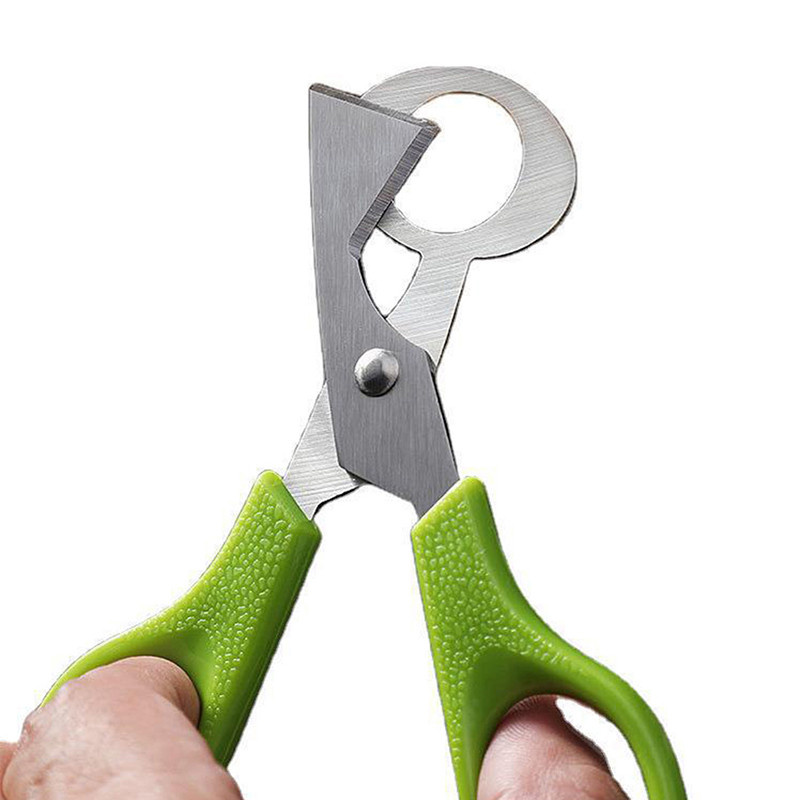 Putpelių kiaušinių žirklės paukščių kiaušinių žirklės nerūdijančio plieno kiaušinių pjaustytuvai kiaušinių lukštų pjaustytuvai kiaušinių atidarytuvai virtuvės rankiniai įrankiai žirklės