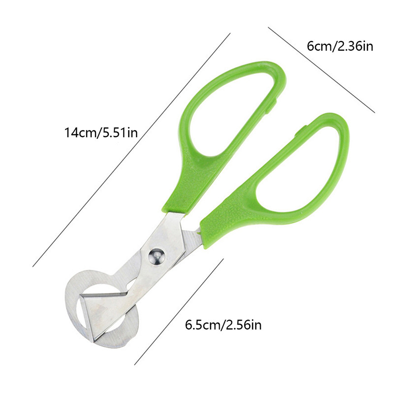 Putpelių kiaušinių žirklės paukščių kiaušinių žirklės nerūdijančio plieno kiaušinių pjaustytuvai kiaušinių lukštų pjaustytuvai kiaušinių atidarytuvai virtuvės rankiniai įrankiai žirklės