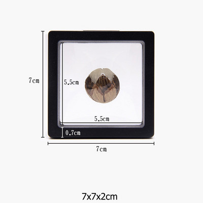 Κουτί συσκευασίας κοσμημάτων με διαφανή φιλμ Κρεμαστό δαχτυλίδι Σκουλαρίκια οθόνη Βάση βάσης νομισμάτων συλλογής πολύτιμων λίθων Θήκη μεμβράνης PET αποθήκευσης